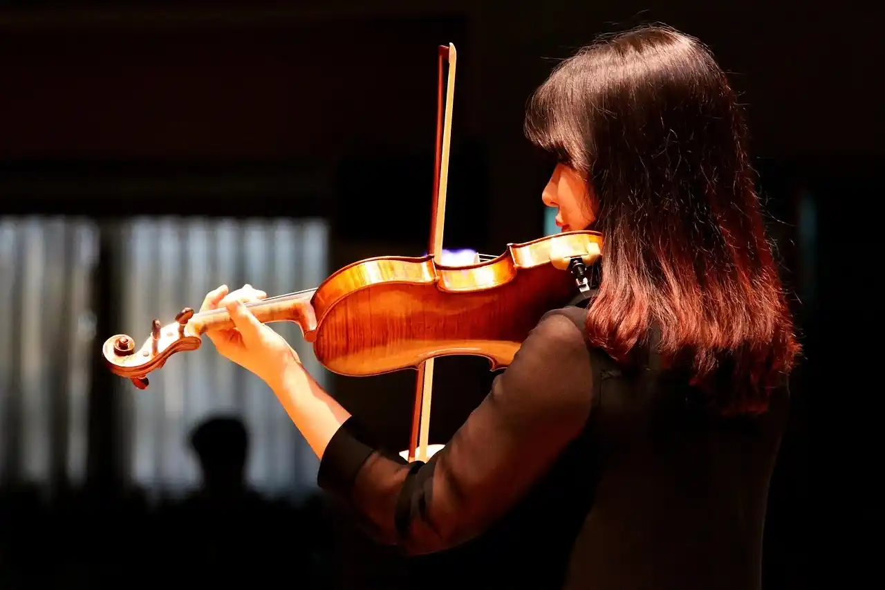 Violinista